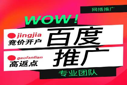 竞价推广代运营：成功案例解析